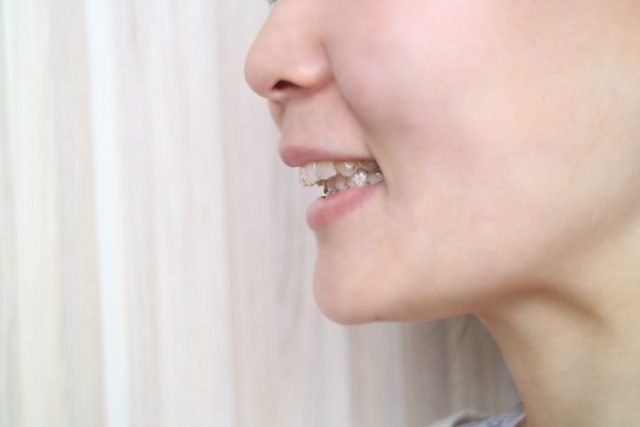 歯を咬み合わせて見せている女性の横顔